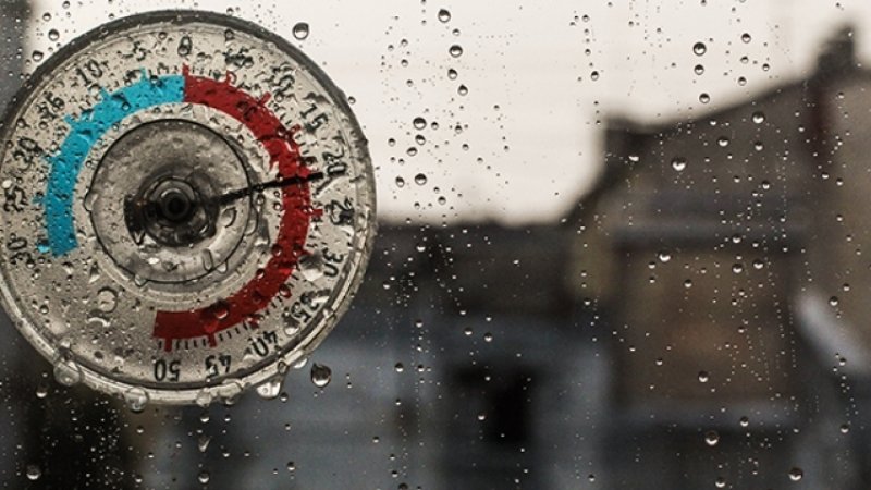 Дожди и заморозки ожидаются в Ленобласти в четверг