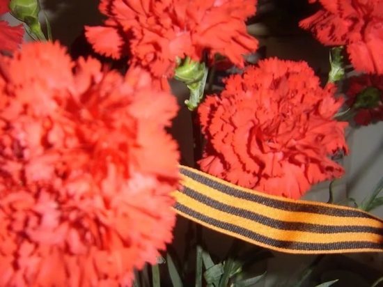 Тверитяне могут помочь ветеранам в ходе акции «Красная гвоздика»