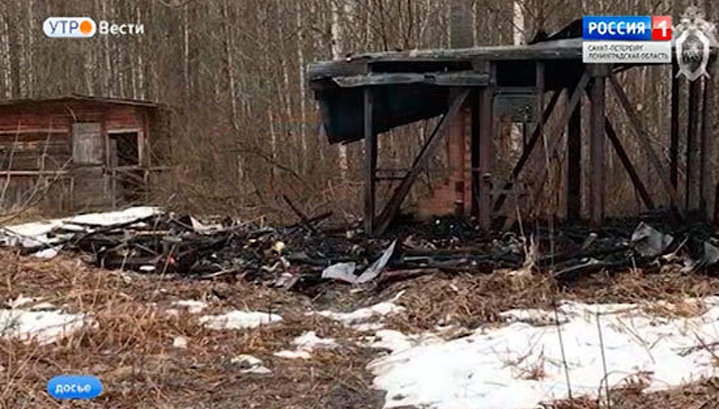 За поджог частного дома в Ленобласти будут судить школьницу
